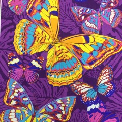 Бабочки фиолетовый