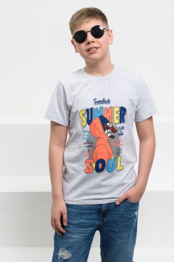 футболка детская с принтом 7445 - меланж (Нл)