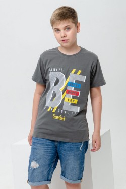 футболка детская с принтом 7446 - серый (Нл)